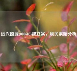 远兴能源(000683)被立案，股民索赔分析