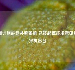 深圳计划鼓励并购重组 已经起草征求意见稿并择机出台