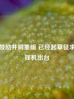 深圳计划鼓励并购重组 已经起草征求意见稿并择机出台