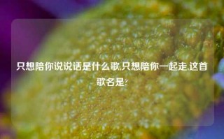 只想陪你说说话是什么歌,只想陪你一起走,这首歌名是?