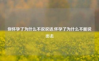 你怀孕了为什么不说说话,怀孕了为什么不能说出去