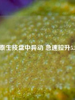 寰泰生技盘中异动 急速拉升5.50%