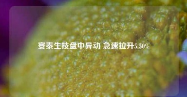 寰泰生技盘中异动 急速拉升5.50%