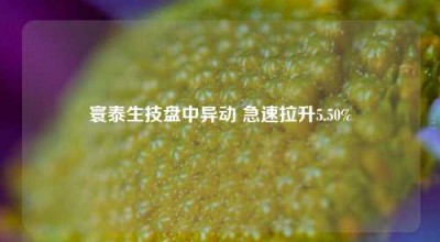 寰泰生技盘中异动 急速拉升5.50%