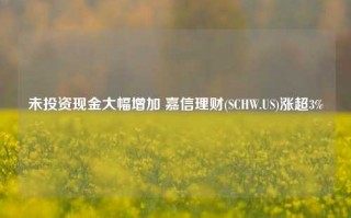 未投资现金大幅增加 嘉信理财(SCHW.US)涨超3%