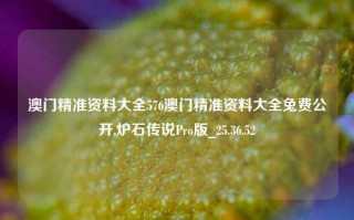 澳门精准资料大全576澳门精准资料大全兔费公开,炉石传说Pro版_25.36.52