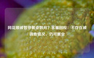 同花顺被暂停展业数月？客服回应：不存在被调查情况，仍可展业