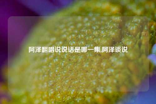 阿泽翻唱说说话是哪一集,阿泽谈说-第1张图片-兔尾说说网