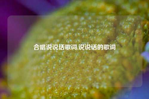 合唱说说话歌词,说说话的歌词-第1张图片-兔尾说说网