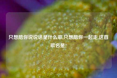 只想陪你说说话是什么歌,只想陪你一起走,这首歌名是?-第1张图片-兔尾说说网