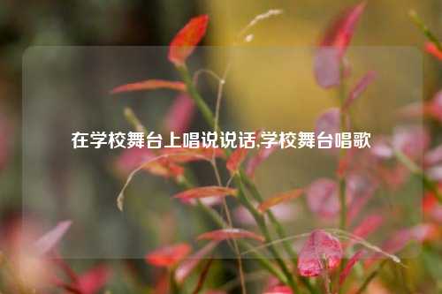 在学校舞台上唱说说话,学校舞台唱歌-第1张图片-兔尾说说网