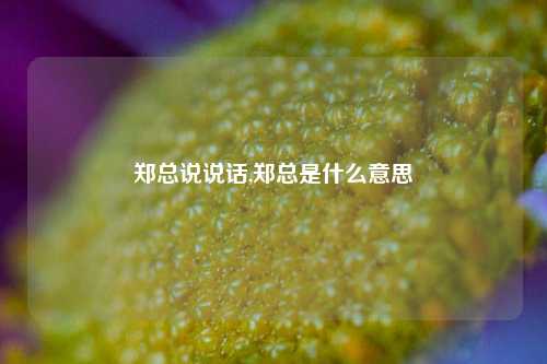 郑总说说话,郑总是什么意思-第1张图片-兔尾说说网