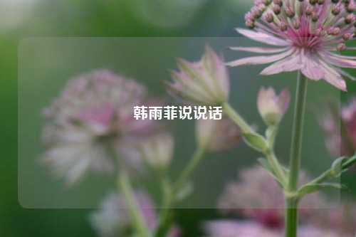 韩雨菲说说话-第1张图片-兔尾说说网