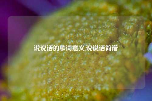 说说话的歌词意义,说说话简谱-第1张图片-兔尾说说网