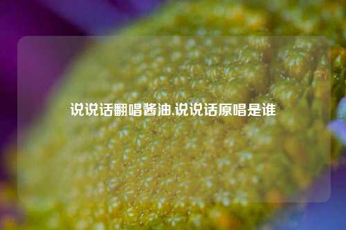 说说话翻唱酱油,说说话原唱是谁-第1张图片-兔尾说说网