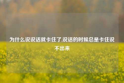 为什么说说话就卡住了,说话的时候总是卡住说不出来-第1张图片-兔尾说说网