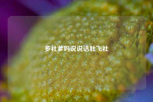 多社爹吗说说话肚飞社-第1张图片-兔尾说说网