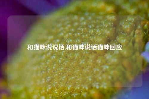 和猫咪说说话,和猫咪说话猫咪回应-第1张图片-兔尾说说网