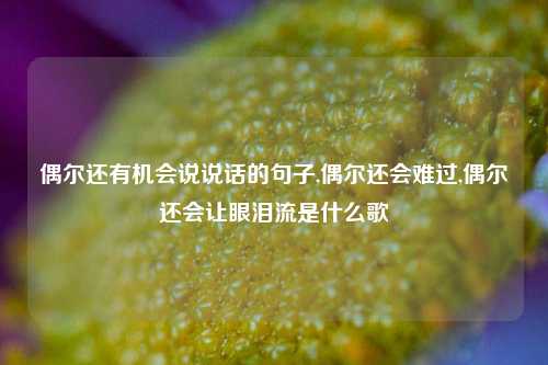 偶尔还有机会说说话的句子,偶尔还会难过,偶尔还会让眼泪流是什么歌-第1张图片-兔尾说说网