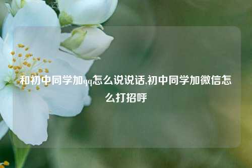 和初中同学加qq怎么说说话,初中同学加微信怎么打招呼-第1张图片-兔尾说说网