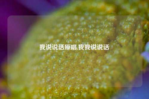 我说说话原唱,我我说说话-第1张图片-兔尾说说网