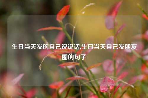 生日当天发的自己说说话,生日当天自己发朋友圈的句子-第1张图片-兔尾说说网