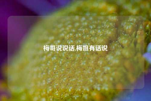 梅哥说说话,梅姐有话说-第1张图片-兔尾说说网