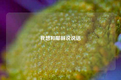 我想和耶稣说说话-第1张图片-兔尾说说网