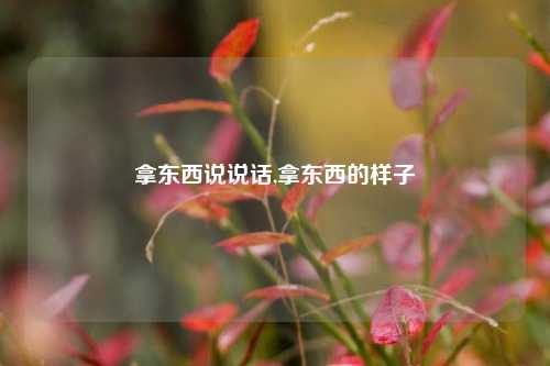 拿东西说说话,拿东西的样子-第1张图片-兔尾说说网