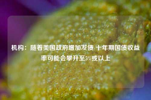 机构：随着美国政府增加发债 十年期国债收益率可能会攀升至5%或以上-第1张图片-兔尾说说网