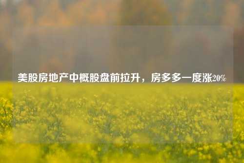 美股房地产中概股盘前拉升，房多多一度涨20%-第1张图片-兔尾说说网