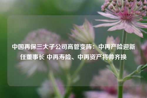 中国再保三大子公司高管变阵：中再产险迎新任董事长 中再寿险、中再资产将帅齐换-第1张图片-兔尾说说网