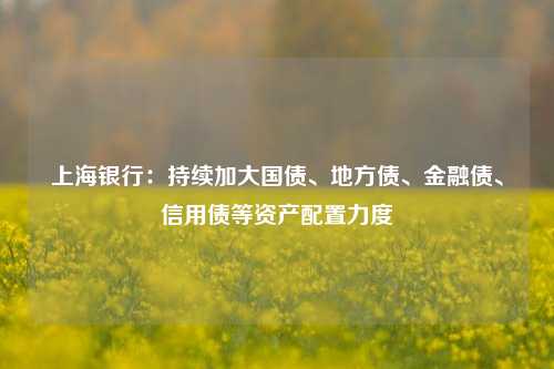 上海银行：持续加大国债、地方债、金融债、信用债等资产配置力度-第1张图片-兔尾说说网