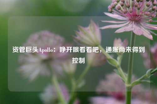 资管巨头Apollo：睁开眼看看吧，通胀尚未得到控制-第1张图片-兔尾说说网