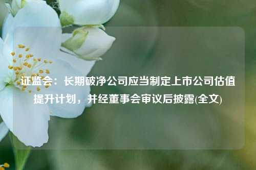 证监会：长期破净公司应当制定上市公司估值提升计划，并经董事会审议后披露(全文)-第1张图片-兔尾说说网