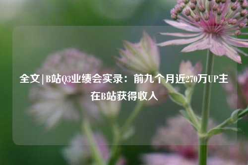 全文|B站Q3业绩会实录：前九个月近270万UP主在B站获得收入-第1张图片-兔尾说说网