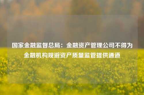 国家金融监督总局：金融资产管理公司不得为金融机构规避资产质量监管提供通道-第1张图片-兔尾说说网