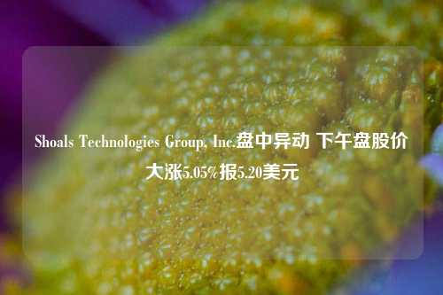 Shoals Technologies Group, Inc.盘中异动 下午盘股价大涨5.05%报5.20美元-第1张图片-兔尾说说网