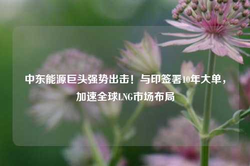 中东能源巨头强势出击！与印签署10年大单，加速全球LNG市场布局-第1张图片-兔尾说说网