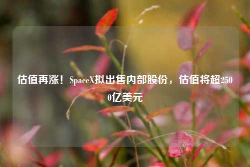 估值再涨！SpaceX拟出售内部股份，估值将超2500亿美元-第1张图片-兔尾说说网