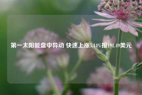 第一太阳能盘中异动 快速上涨5.14%报191.49美元-第1张图片-兔尾说说网