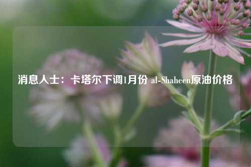 消息人士：卡塔尔下调1月份 al-Shaheen原油价格-第1张图片-兔尾说说网