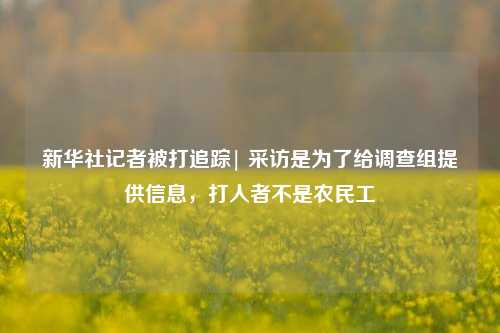 新华社记者被打追踪| 采访是为了给调查组提供信息，打人者不是农民工-第1张图片-兔尾说说网