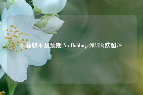 Q3营收不及预期 Nu Holdings(NU.US)跌超7%-第1张图片-兔尾说说网