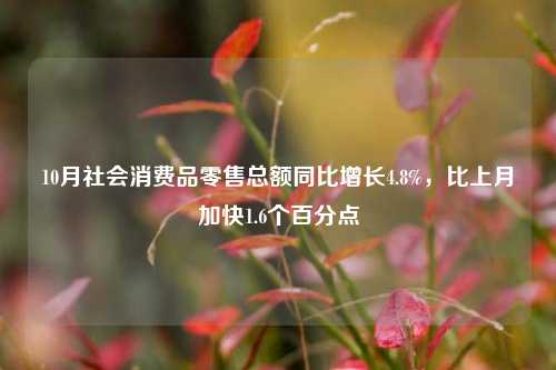 10月社会消费品零售总额同比增长4.8%，比上月加快1.6个百分点-第1张图片-兔尾说说网