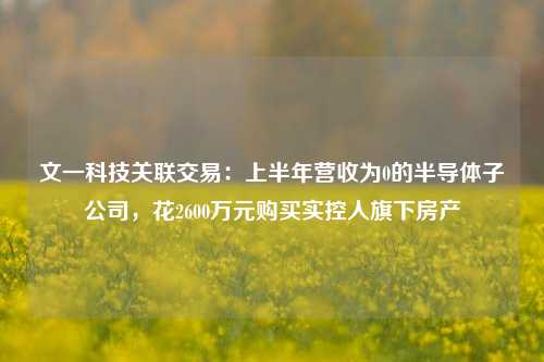 文一科技关联交易：上半年营收为0的半导体子公司，花2600万元购买实控人旗下房产-第1张图片-兔尾说说网