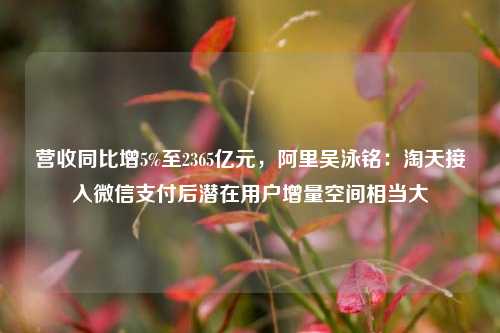 营收同比增5%至2365亿元，阿里吴泳铭：淘天接入微信支付后潜在用户增量空间相当大-第1张图片-兔尾说说网