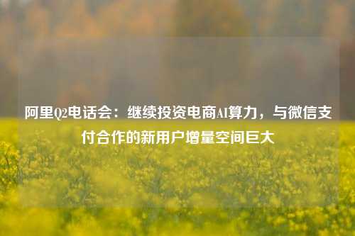 阿里Q2电话会：继续投资电商AI算力，与微信支付合作的新用户增量空间巨大-第1张图片-兔尾说说网