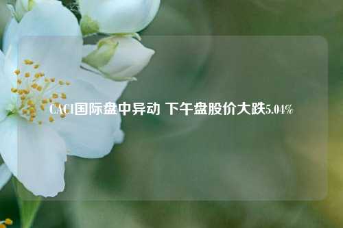 CACI国际盘中异动 下午盘股价大跌5.04%-第1张图片-兔尾说说网