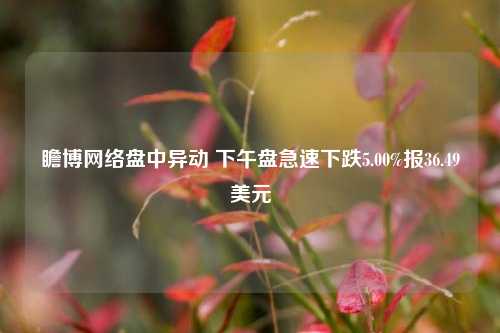 瞻博网络盘中异动 下午盘急速下跌5.00%报36.49美元-第1张图片-兔尾说说网